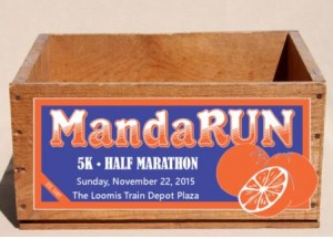 Mandarin Run 2015 Uppal Insurance Events