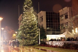 Sacramento Tree Lighting Uppal Insurance Events